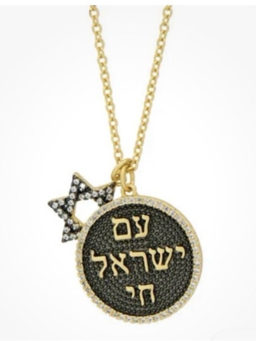 Freida Rothman sterling Disc Necklace with Pave Star Charm.